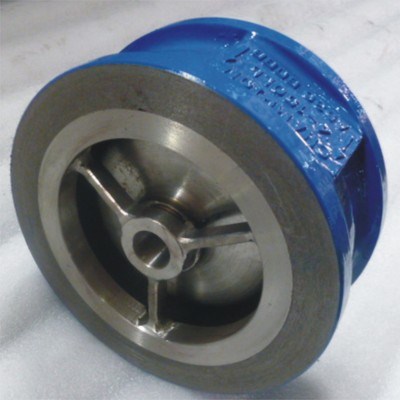 Cast Non-slam Check Valve